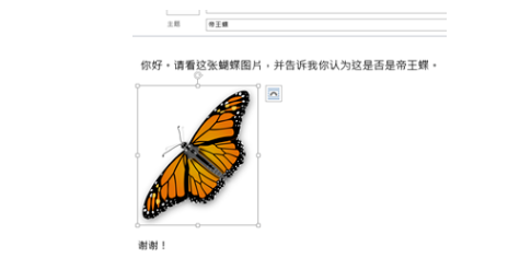 outlook企業郵箱